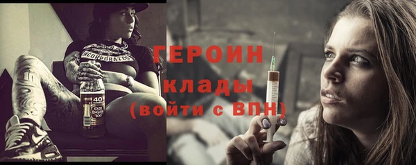 шишки Няндома