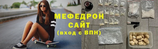 шишки Няндома