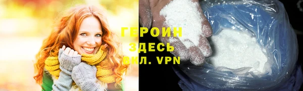 шишки Няндома