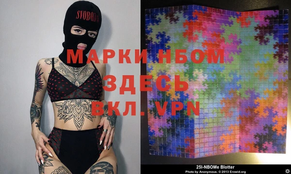 шишки Няндома