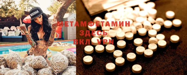 шишки Няндома