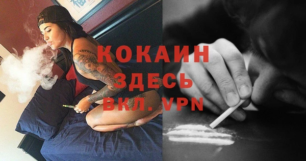 шишки Няндома