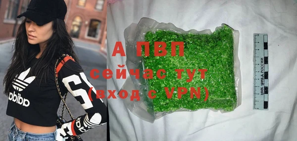 трава Новозыбков