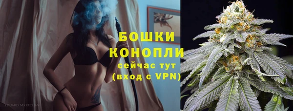 шишки Няндома
