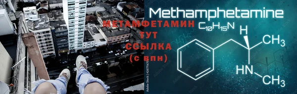 трава Новозыбков