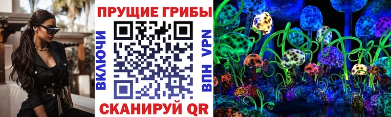 Купить  Томилино  Псилоцибиновые грибы ЛСД 